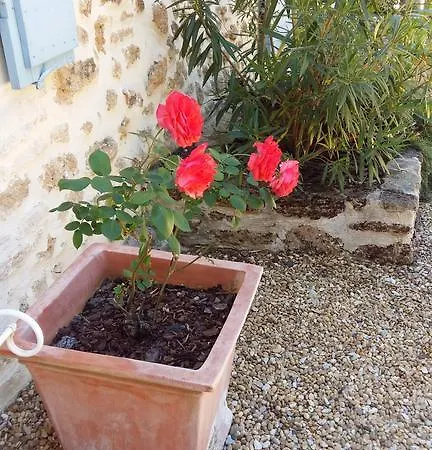 Mas Cote Bed & Breakfast